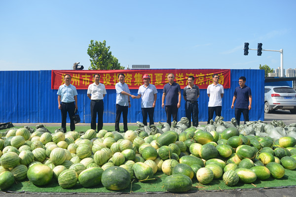 乐鱼注册_乐鱼（中国）
开展夏日送清凉活动